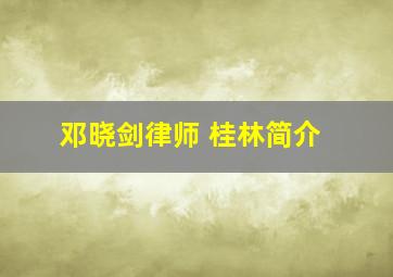 邓晓剑律师 桂林简介